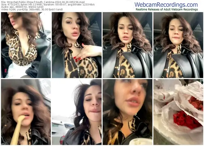 2024/04/20/stripchat-south_carolina-06-51-56