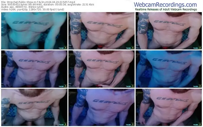 2024/04/20/stripchat-t4v3n-01-54-57