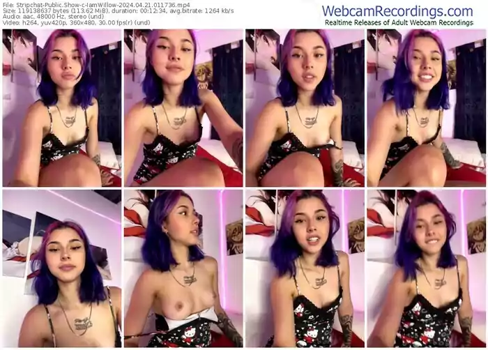 2024/04/21/stripchat-iamwillow-01-17-36