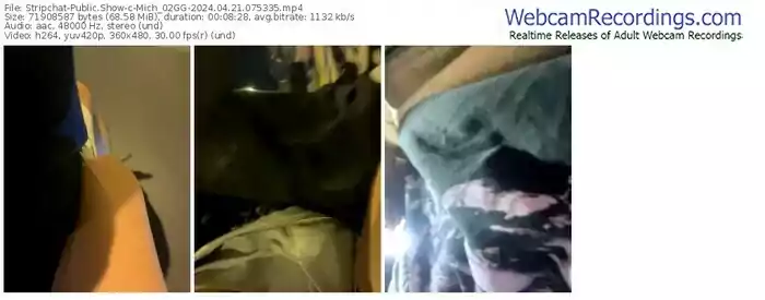 2024/04/21/stripchat-mich_02gg-07-53-35