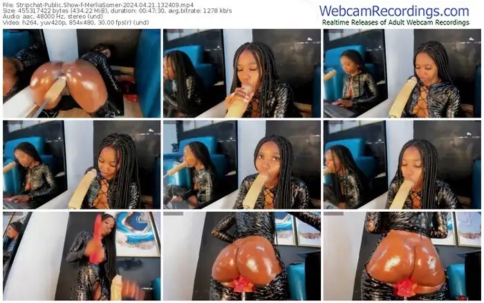 2024/04/21/stripchat-merliasomer-13-24-09