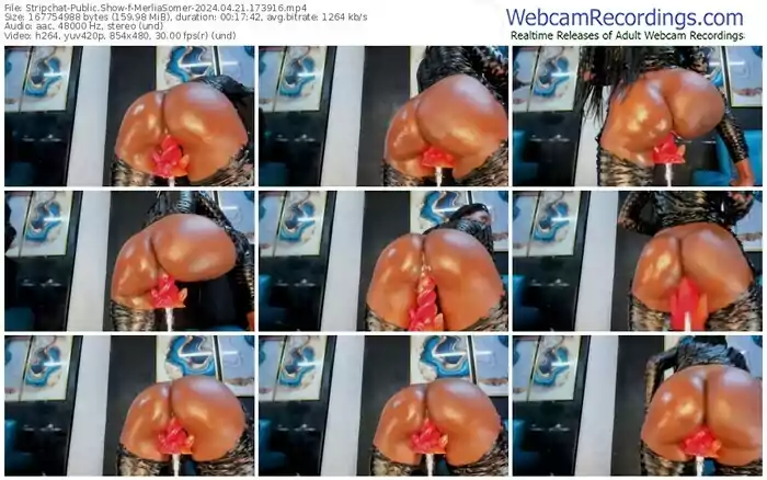 2024/04/21/stripchat-merliasomer-17-39-16