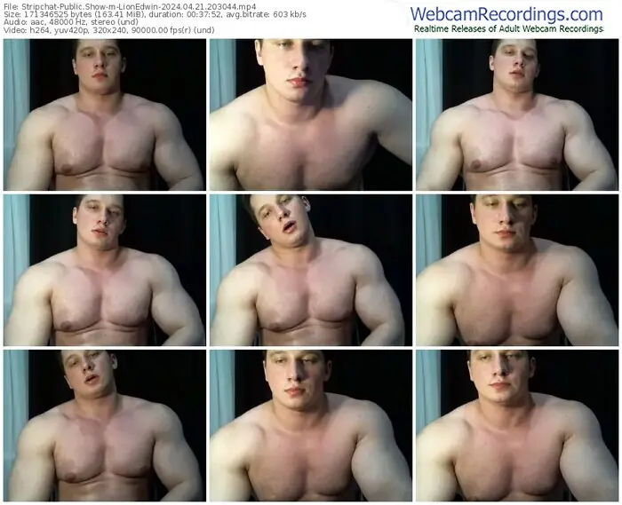 2024/04/21/stripchat-lionedwin-20-30-44