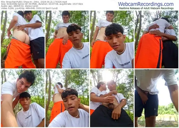 2024/04/21/stripchat-_ottis_-17-43-24