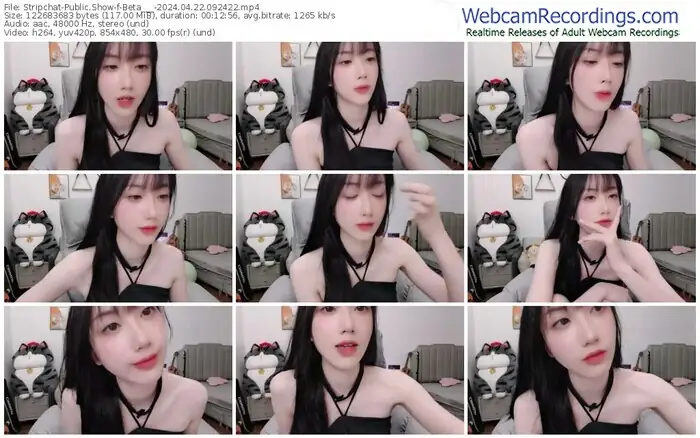 2024/04/22/stripchat-beta___-09-24-22