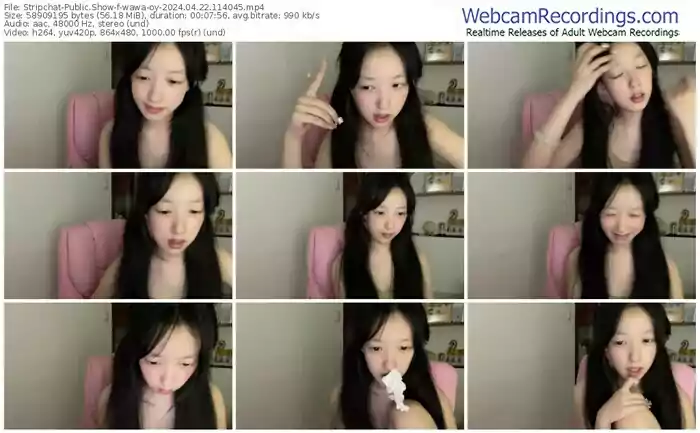 2024/04/22/stripchat-wawa-oy-11-40-45