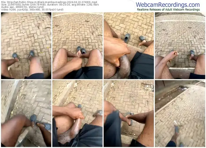 2024/04/22/stripchat-black-mamba-madingo-07-48-01