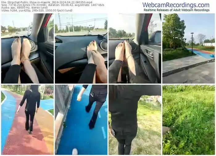 2024/04/22/stripchat-haeink_2818-08-03-50