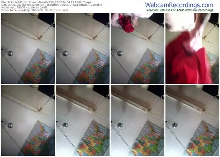 2024/04/23/stripchat-texasmess_37-19-49-17