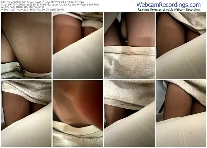 2024/04/23/stripchat-wet-pussycat-19-45-15