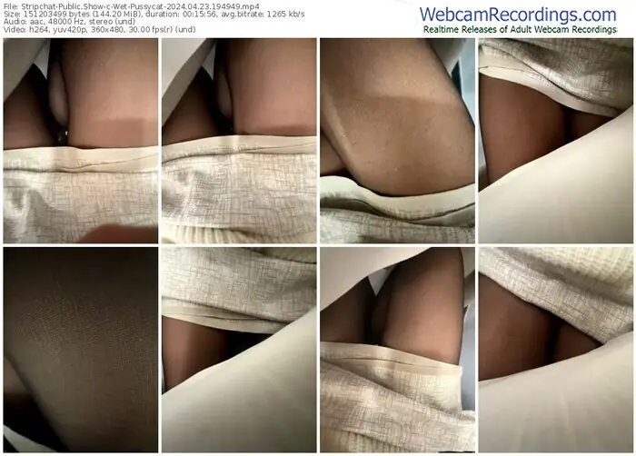 2024/04/23/stripchat-wet-pussycat-19-49-49