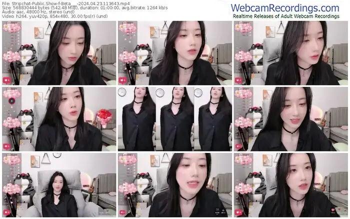 2024/04/23/stripchat-beta___-11-36-43