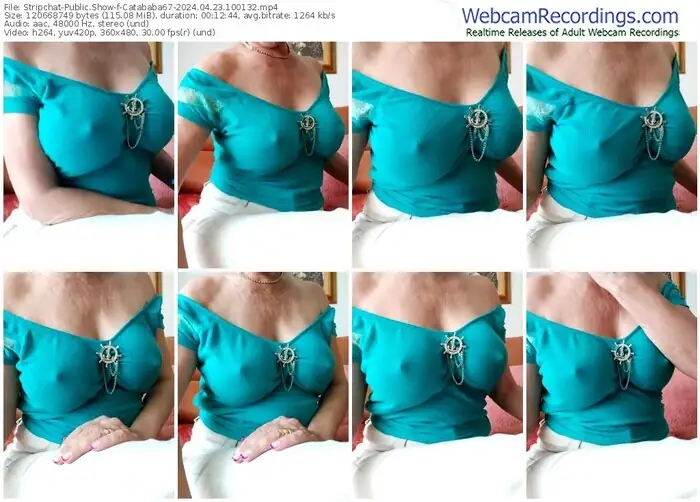 2024/04/23/stripchat-catababa67-10-01-32