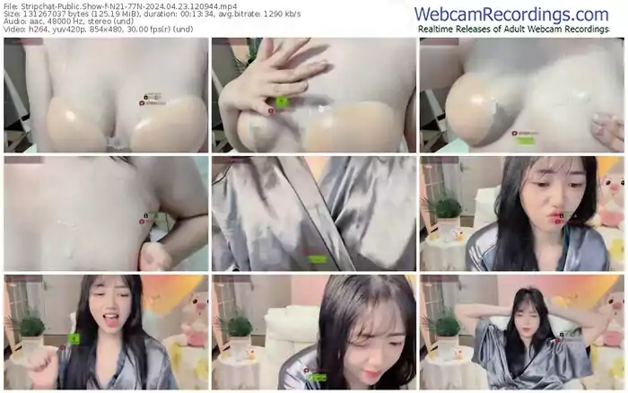 2024/04/23/stripchat-n21-77n-12-09-44