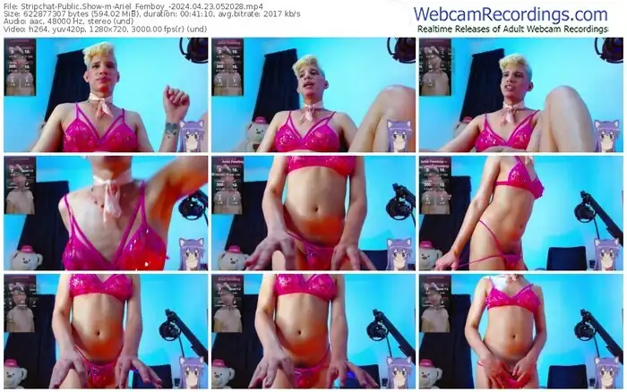 2024/04/23/stripchat-ariel_femboy_-05-20-28