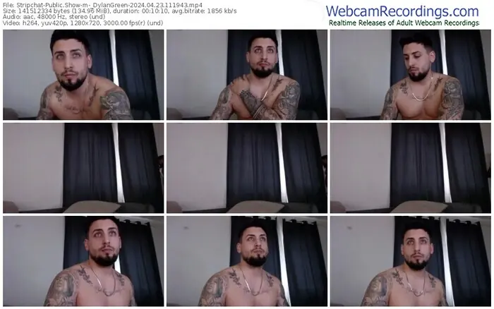 2024/04/23/stripchat-_dylangreen-11-19-43