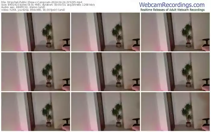 2024/04/24/stripchat-cassycum-21-52-35