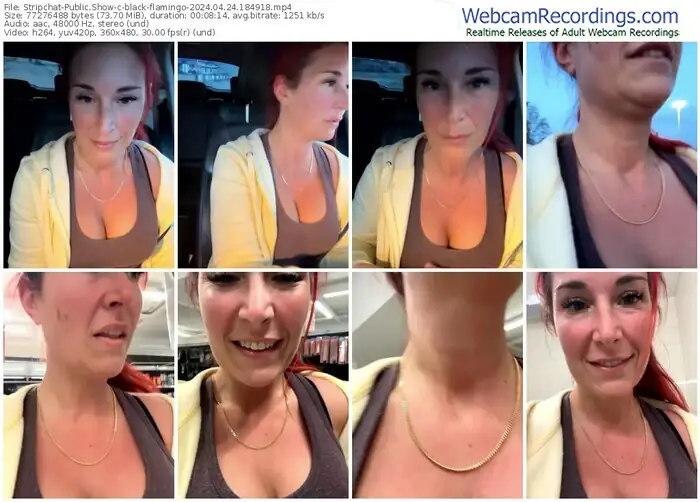 2024/04/24/stripchat-black-flamingo-18-49-18