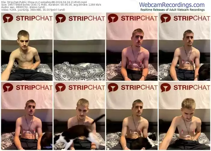 2024/04/24/stripchat-cookieboy88-21-45-40