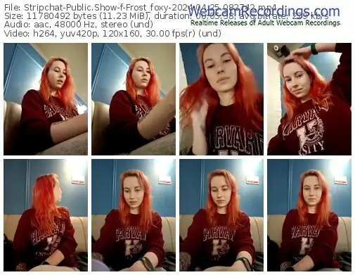 2024/04/25/stripchat-frost_foxy-08-27-42