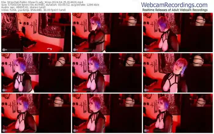 2024/04/25/stripchat-lady_wisp-01-46-26