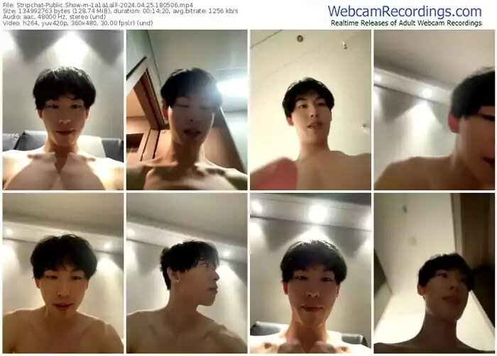 2024/04/25/stripchat-1a1a1alll-18-05-06