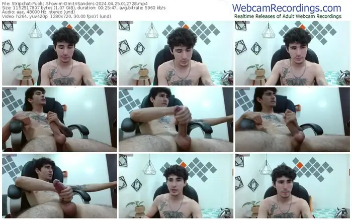 2024/04/25/stripchat-dmitrisanders-01-27-28