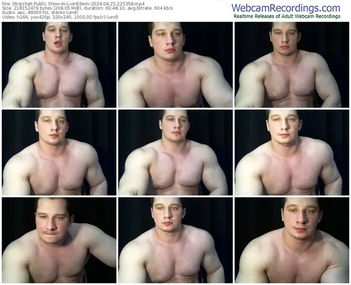 2024/04/25/stripchat-lionedwin-22-53-58