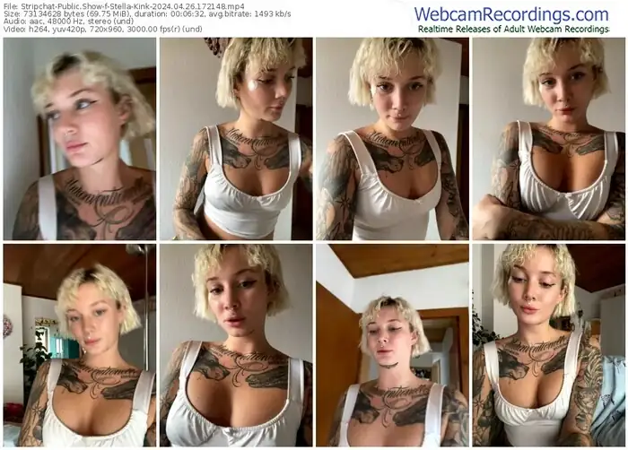 2024/04/26/stripchat-stella-kink-17-21-48