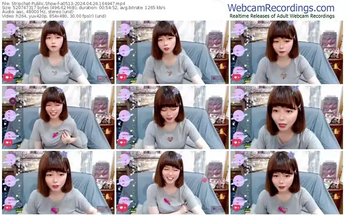 2024/04/26/stripchat-a0513-16-49-47