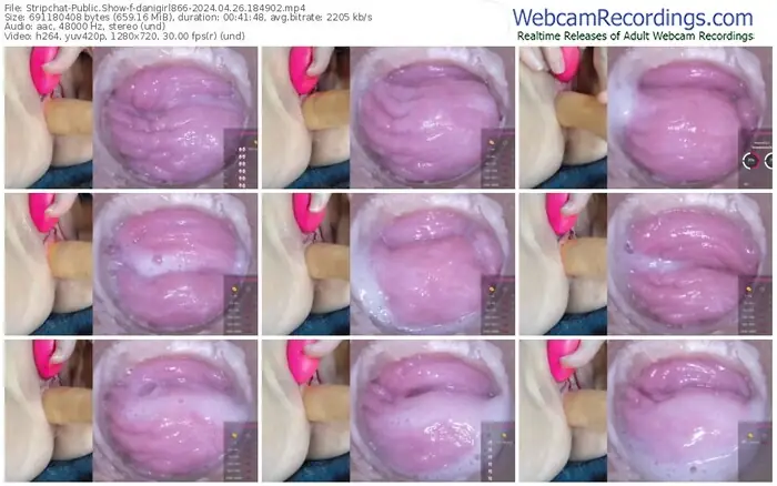 2024/04/26/stripchat-danigirl866-18-49-02