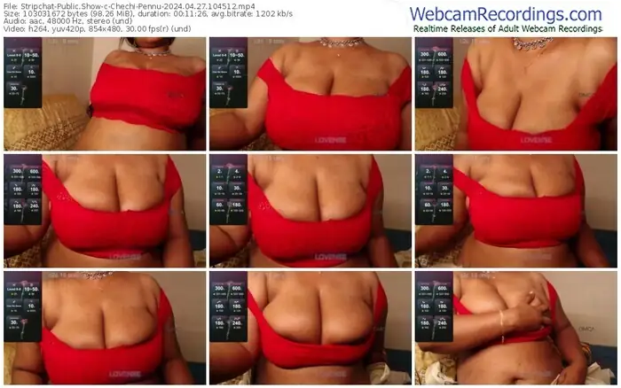 2024/04/27/stripchat-chechi-pennu-10-45-12