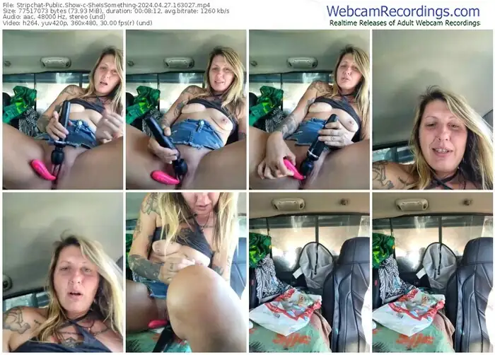 2024/04/27/stripchat-sheissomething-16-30-27