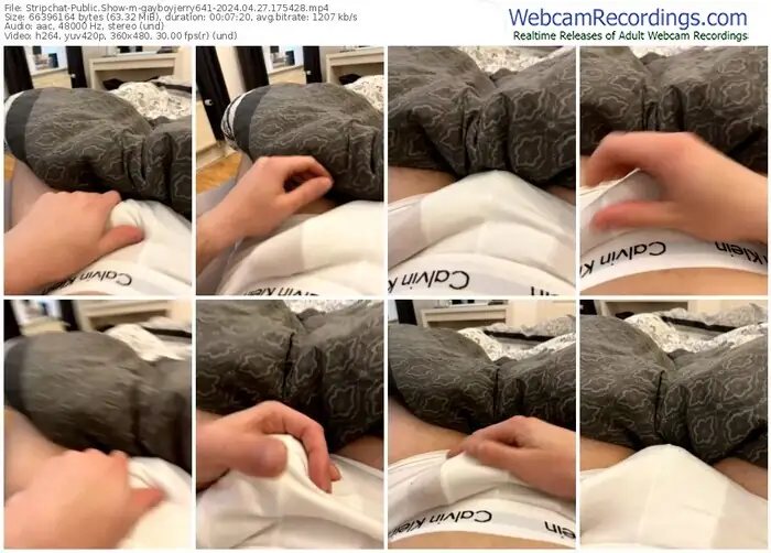 2024/04/27/stripchat-gayboyjerry641-17-54-28