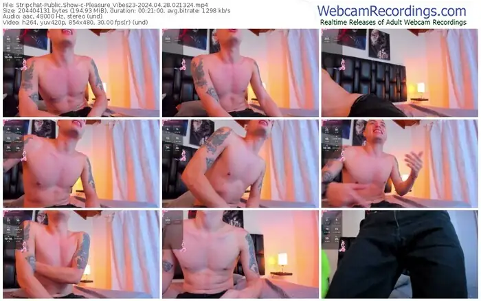 2024/04/28/stripchat-pleasure_vibes23-02-13-24