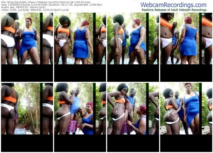 2024/04/28/stripchat-rediant_two256-14-31-03