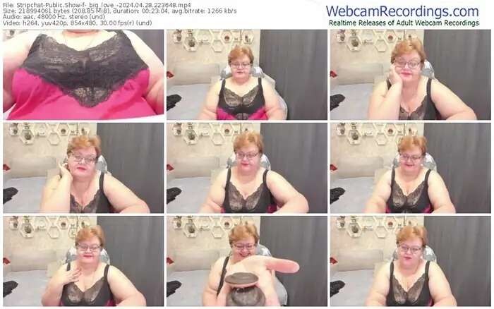 2024/04/28/stripchat-_big_love_-22-36-48