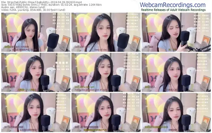 2024/04/28/stripchat-babykitty--09-26-33