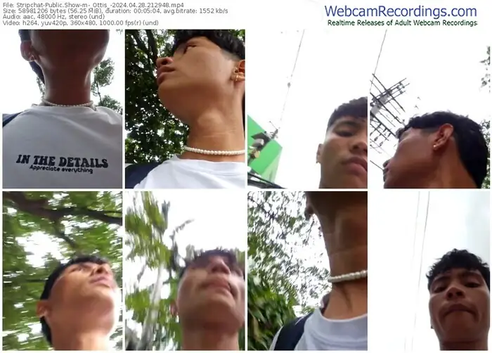 2024/04/28/stripchat-_ottis_-21-29-48