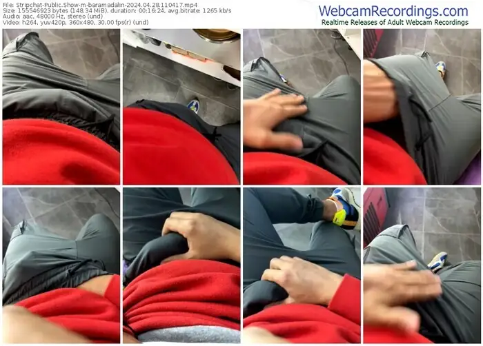 2024/04/28/stripchat-baramadalin-11-04-17
