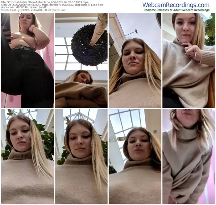 2024/04/29/stripchat-morphine_666-10-29-09