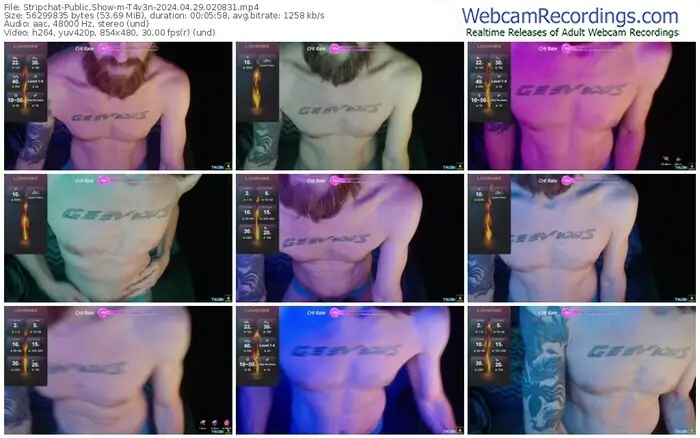 2024/04/29/stripchat-t4v3n-02-08-31