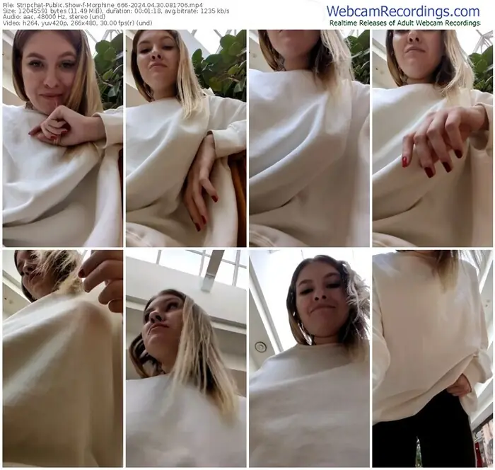 2024/04/30/stripchat-morphine_666-08-17-06