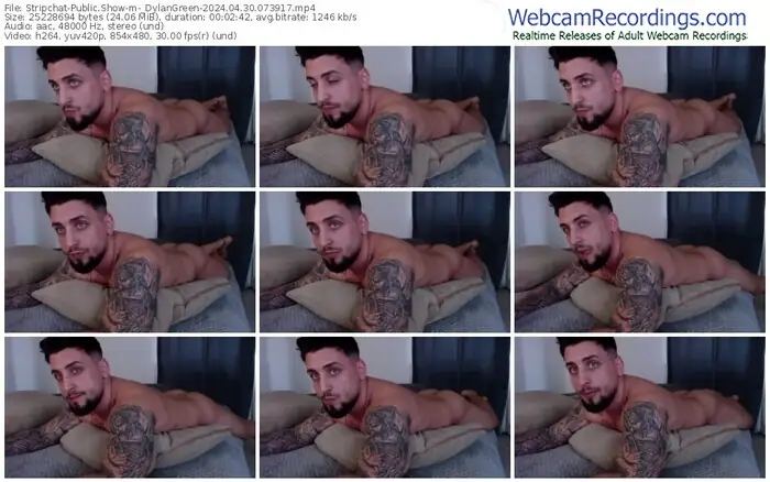 2024/04/30/stripchat-_dylangreen-07-39-17