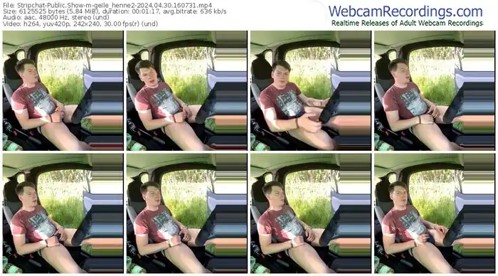 2024/04/30/stripchat-geile_henne2-16-07-31