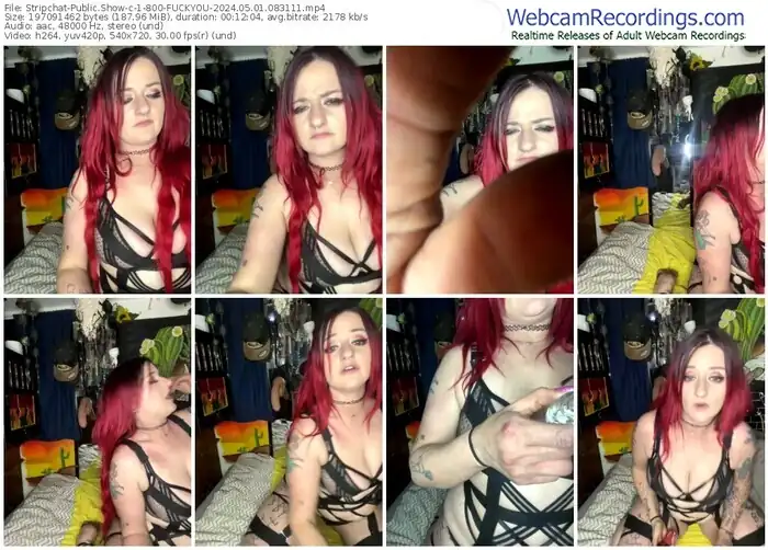2024/05/01/stripchat-1-800-fuckyou-08-31-11