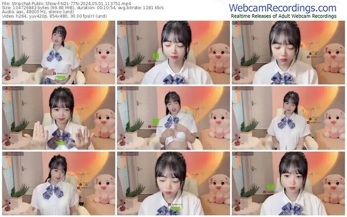 2024/05/01/stripchat-n21-77n-11-37-51