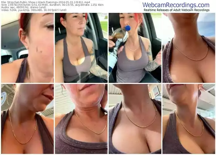 2024/05/03/stripchat-black-flamingo-10-18-11