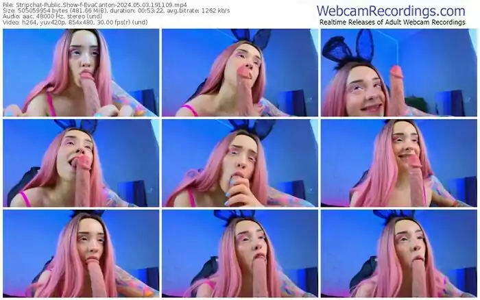 2024/05/03/stripchat-evacanton-19-11-09