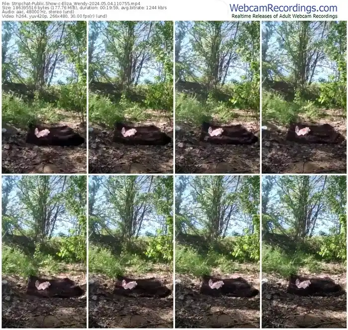 2024/05/04/stripchat-eliza_wendy-11-07-55